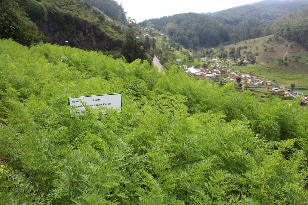 Serene Villa Nuwara Eliya Esterno foto