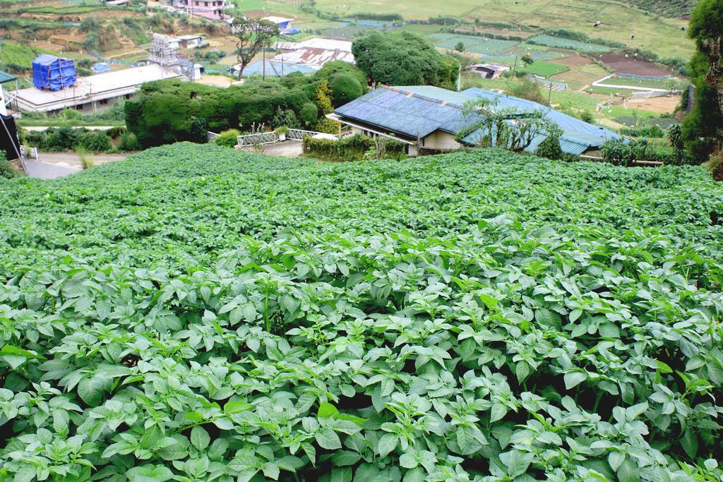 Serene Villa Nuwara Eliya Esterno foto
